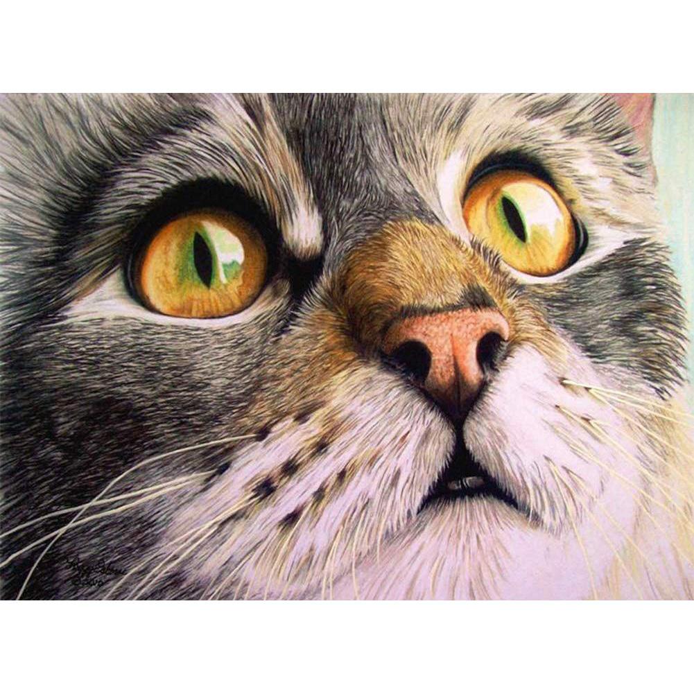 Cat - Full Drill Diamond Painting