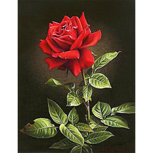 Load image into Gallery viewer, Flower RosePicture - Full Drill Diamond Painting
