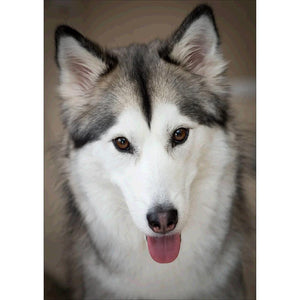 Docile Wolf - Full Drill Diamond Painting