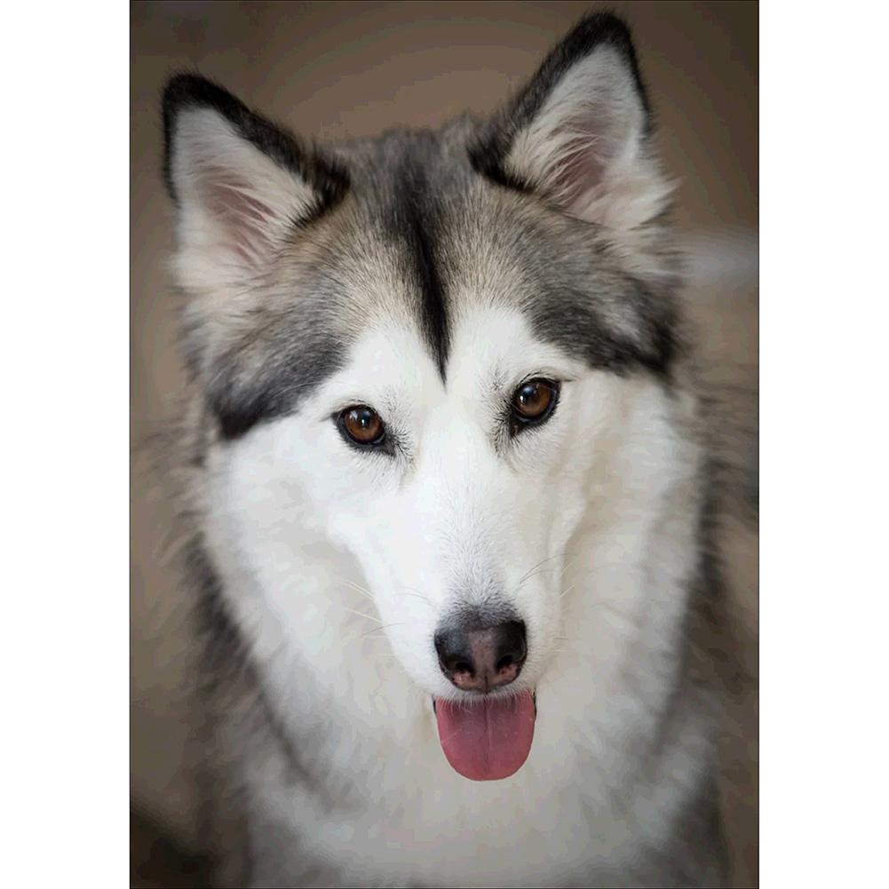Docile Wolf - Full Drill Diamond Painting