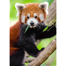 Load image into Gallery viewer, Climbing Koala - Full Drill Diamond Painting
