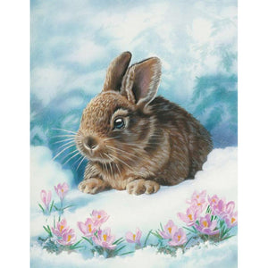 Rabbit in Amazement - Full Drill Diamond Painting