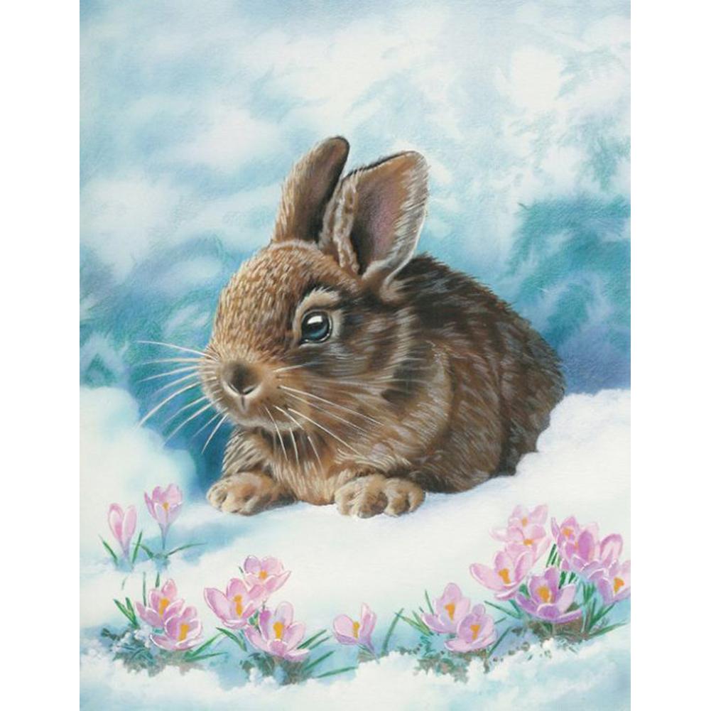 Rabbit in Amazement - Full Drill Diamond Painting