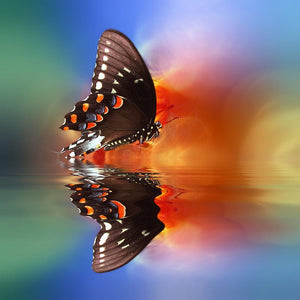 Butterfly Water - Full Drill Diamond Painting