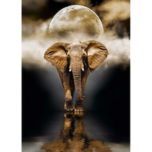 Load image into Gallery viewer, Elephant - Full Drill Diamond Painting
