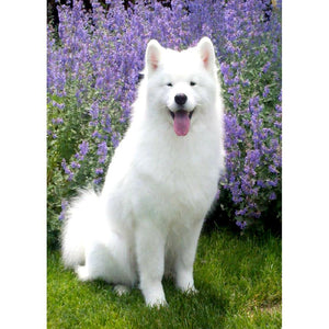 White Dog - Full Drill Diamond Painting