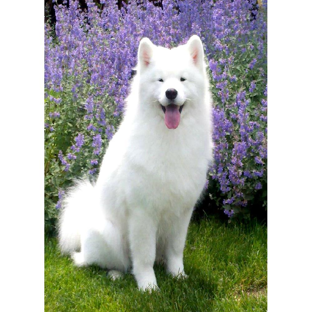 White Dog - Full Drill Diamond Painting