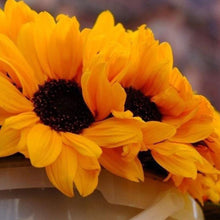 Load image into Gallery viewer, Sunflower - Full Drill Diamond Painting
