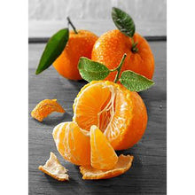 Load image into Gallery viewer, Orange - Full Drill Diamond Painting
