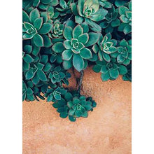 Load image into Gallery viewer, Succulent Plant - Full Drill Diamond Painting
