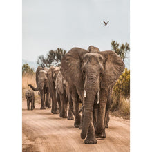 Load image into Gallery viewer, Elephant on Road - Full Drill Diamond Painting
