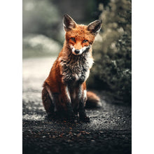 Load image into Gallery viewer, Fox on Road Ornaments - Full Drill Diamond Painting
