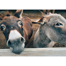 Load image into Gallery viewer, Smile Donkey - Full Drill Diamond Painting
