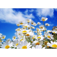 Load image into Gallery viewer, Plants - Full Drill Diamond Painting
