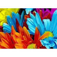 Load image into Gallery viewer, Plants - Full Drill Diamond Painting
