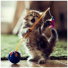 Load image into Gallery viewer, Kitten - Full Drill Diamond Painting
