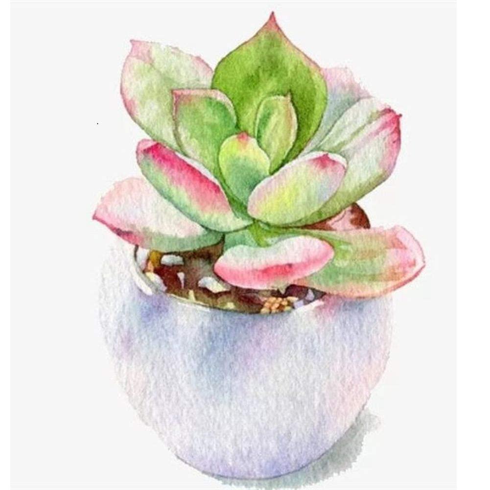 Succulent Plant - Full Drill Diamond Painting