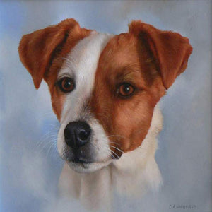 Dog - Full Drill Diamond Painting