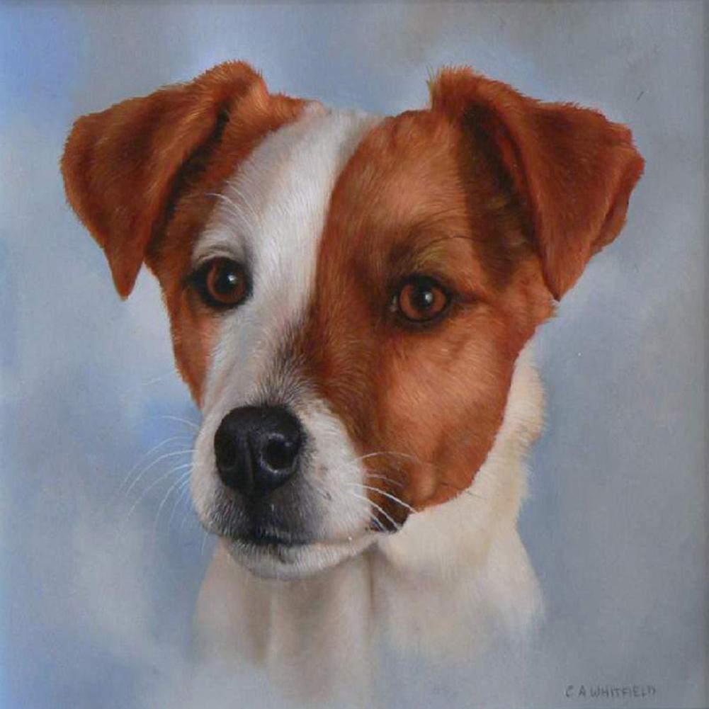 Dog - Full Drill Diamond Painting