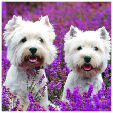 Load image into Gallery viewer, Dog - Full Drill Diamond Painting
