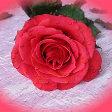 Load image into Gallery viewer, Flowers - Full Drill Diamond Painting
