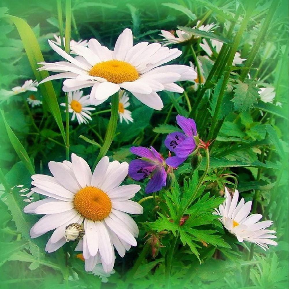 Flowers - Full Drill Diamond Painting