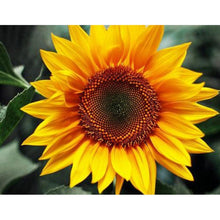 Load image into Gallery viewer, Positive Sunflower - Full Drill Diamond Painting
