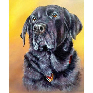 Sitting Dog - Full Drill Diamond Painting