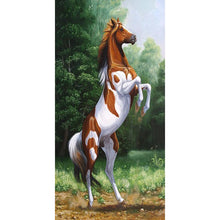 Load image into Gallery viewer, Active Horse - Full Drill Diamond Painting - 45x85cm
