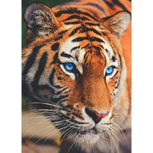 Tiger - Full Drill Diamond Painting