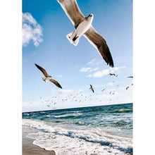 Load image into Gallery viewer, Flying Sea Gull - Full Drill Diamond Painting
