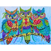 Load image into Gallery viewer, Owl-Special Shaped Crystal Diamond Painting-40*30cm

