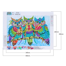 Load image into Gallery viewer, Owl-Special Shaped Crystal Diamond Painting-40*30cm
