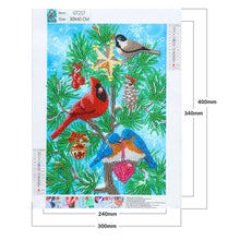 Load image into Gallery viewer, Cardinal-Special Shaped Crystal Diamond Painting-30*40cm
