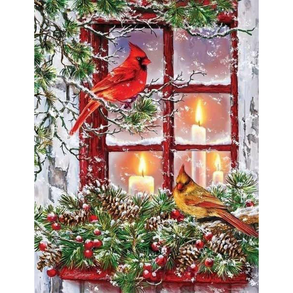 Christmas Bird-Full Round Diamond Painting-30x40cm