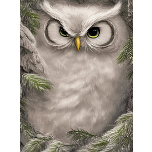Owl-Full Round Diamond Painting-30x40cm