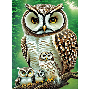 Owl-Full Round Diamond Painting-30x40cm