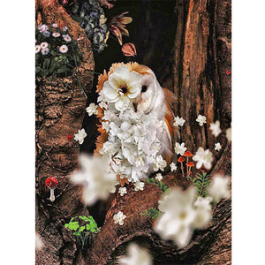 Owl-Full Round Diamond Painting-30x40cm