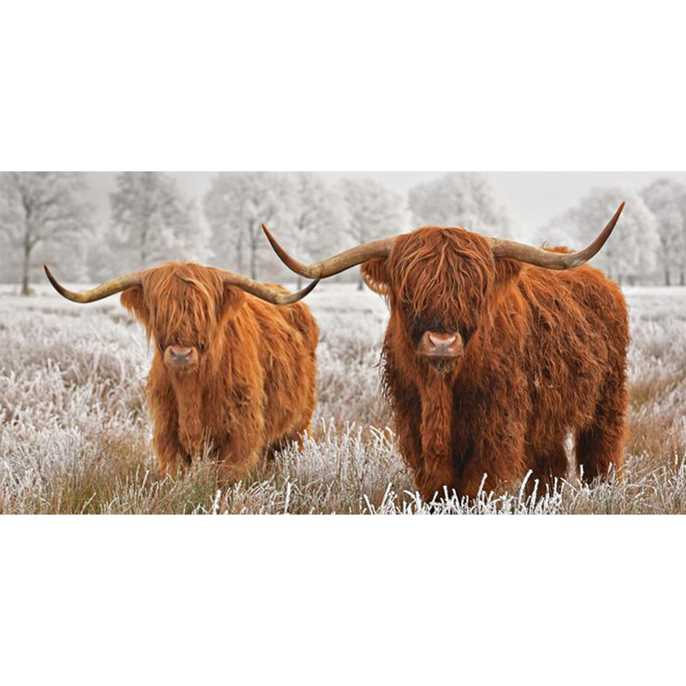 Yak-Full Round Diamond Painting-80x40cm-Large Size
