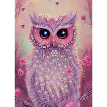 Load image into Gallery viewer, Owl-Partial Special Diamond Painting-30x40cm
