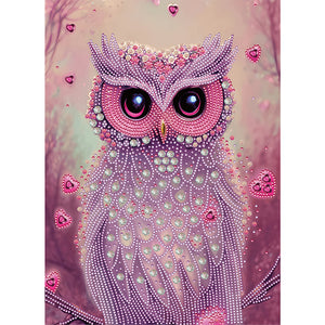 Owl-Partial Special Diamond Painting-30x40cm
