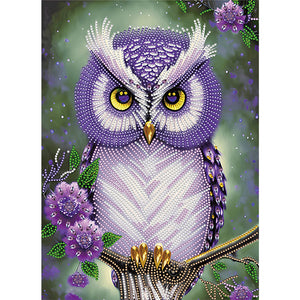 Owl-Partial Special Diamond Painting-30x40cm