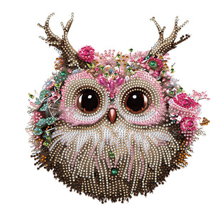 Owl-Partial Special Diamond Painting-30x30cm