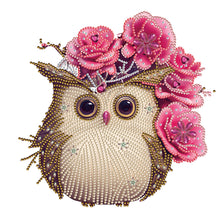 Load image into Gallery viewer, Owl-Partial Special Diamond Painting-30x30cm
