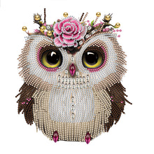 Load image into Gallery viewer, Owl-Partial Special Diamond Painting-30x30cm
