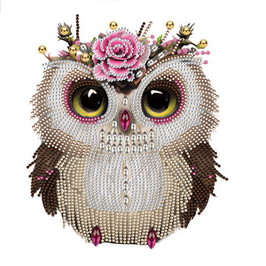 Owl-Partial Special Diamond Painting-30x30cm
