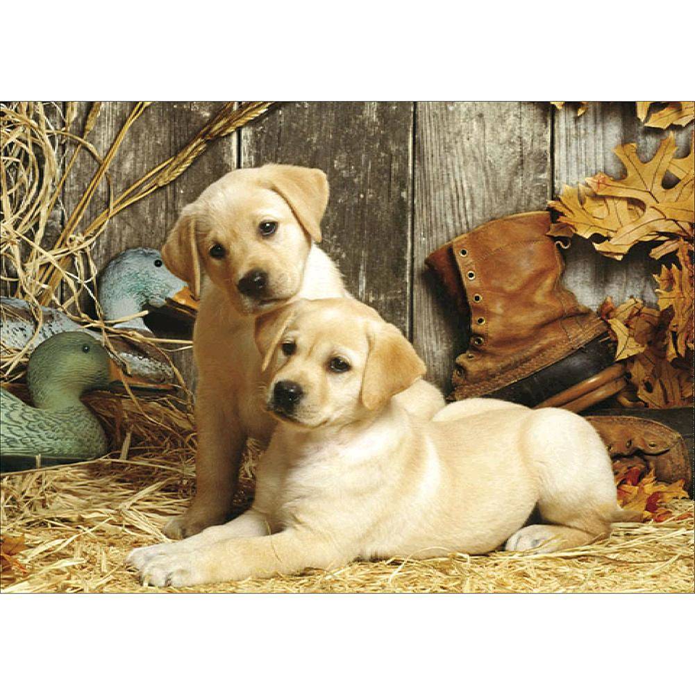 Dogs - Full Drill Diamond Painting