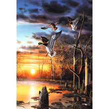 Load image into Gallery viewer, Wild Duck - Full Drill Diamond Painting
