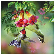 Load image into Gallery viewer, Hummingbirds - Full Drill Diamond Painting
