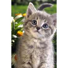 Load image into Gallery viewer, Kitten - Full Drill Diamond Painting
